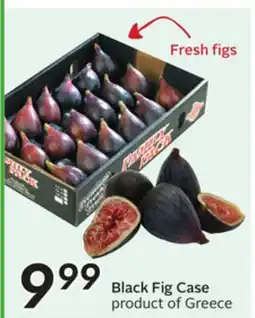 Sobeys Black Fig Case offer