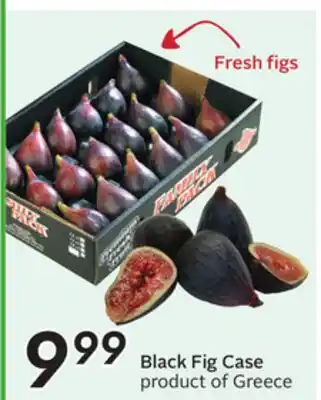Sobeys Black Fig Case offer