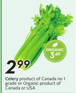 Sobeys Celery offer