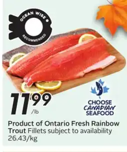 Sobeys Fresh Rainbow Trout Fillets offer