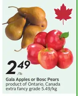 Sobeys Gala Apples Pears offer