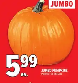 Metro JUMBO JUMBO PUMPKINS offer