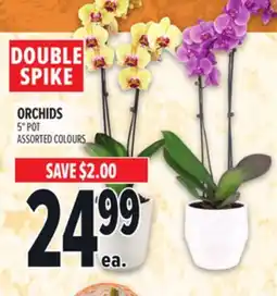 Metro ORCHIDS offer