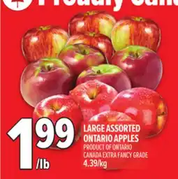 Metro LARGE ASSORTED ONTARIO APPLES offer