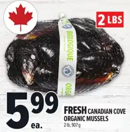 Metro FRESH CANADIAN COVE ORGANIC MUSSELS offer