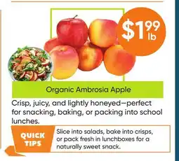 Healthy Planet Organic Ambrosia Apple offer
