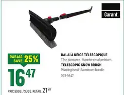BMR BALAI À NEIGE TÉLESCOPIQUE offer