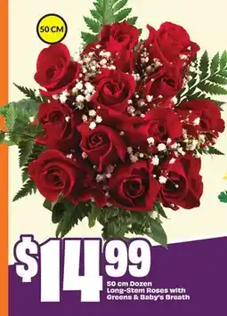 Chalo FreshCo 50 cm Dozen Long-Stem Roses with Greens & Baby's Breath offer