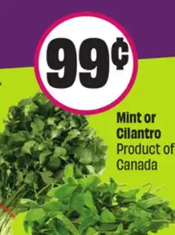 Chalo FreshCo Mint or Cilantro Product of Canada offer