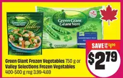 Chalo FreshCo Green Giant Frozen Vegetables 750 g or Valley Selections Frozen Vegetables 400-500 g offer