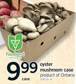 Fortinos OYSTER MUSHROOM CASE offer