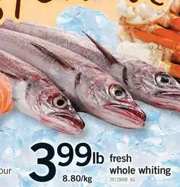 Fortinos FRESH WHOLE WHITING offer