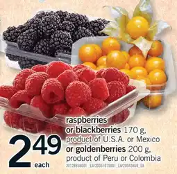 Fortinos RASPBERRIES OR BLACKBERRIES 170 G, OR GOLDENBERRIES, 200 G offer