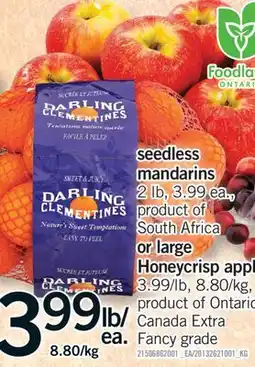 Fortinos seedless mandarins, 2 lb or large Honeycrisp apples offer