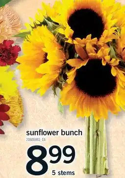 Fortinos SUNFLOWER BUNCH, 5 STEMS offer