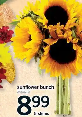 Fortinos SUNFLOWER BUNCH, 5 STEMS offer