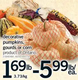 Fortinos DECORATIVE PUMPKINS, GOURDS OR CORN offer
