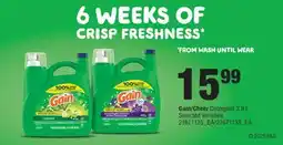 Fortinos GAIN/CHEER DETERGENT, 3.9 L offer