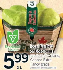 Fortinos LOCAL BARTLETT OR BOSC PEARS, 2 L offer