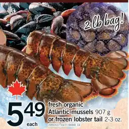 Fortinos FRESH ORGANIC ATLANTIC MUSSELS, 907 G OR FROZEN LOBSTER TAIL, 2-3 OZ offer