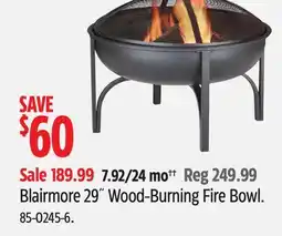Canadian Tire CANVAS Blairmore 29˝ Wood-Burning Fire Bowl offer