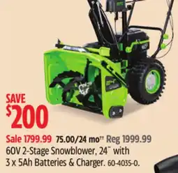 Canadian Tire Green Works 60V 2-Stage Snowblower, 24 with 3 x 5Ah Batteries & Charger offer