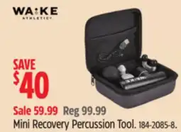 Canadian Tire Mini Recovery Percussion Tool offer