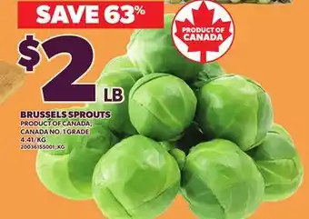 Loblaws BRUSSELS SPROUTS offer