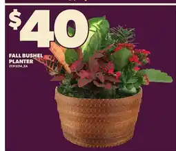 Loblaws FALL BUSHEL PLANTER offer