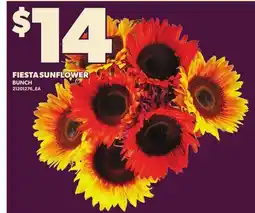 Loblaws FIESTA SUNFLOWER, BUNCH offer