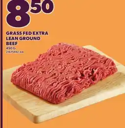 Loblaws GRASS FED EXTRA LEAN GROUND BEEF, 450 G offer