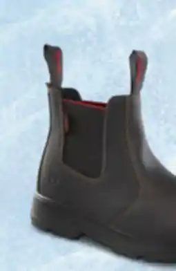 L'équipeur Bottes ICEFX offer