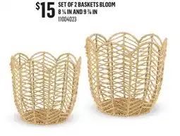 Canac Set of 2 Baskets Bloom offer