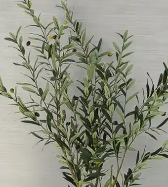 Canac Artificial Olive Plant with White Plastic Pot 5 ft 11 in offer