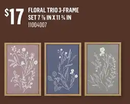 Canac Floral Trio 3-Frame Set 7 7/8inx11 3/4in offer
