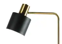 Canac Floor Lamp offer