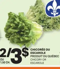 L'Intermarché CHICORÉE OU ESCAROLE | CHICORY OR ESCAROLE offer