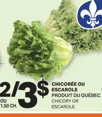 L'Intermarché CHICORÉE OU ESCAROLE | CHICORY OR ESCAROLE offer