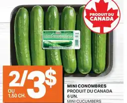 L'Intermarché MINI CONOMBRES | MINI CUCUMBERS, 6 UN offer