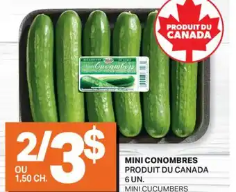 L'Intermarché MINI CONOMBRES | MINI CUCUMBERS, 6 UN offer