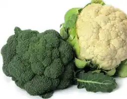 Avril QUÉBEC brocoli ou chou-fleur bios offer