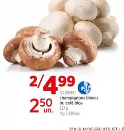 Avril QUÉBEC champignons blancs ou café bios offer