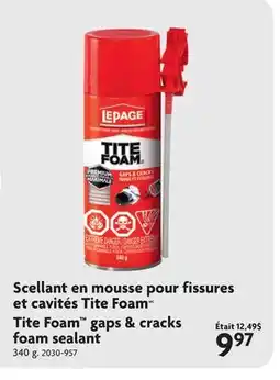 Home Hardware TITE FOAM Gaps & Cracks Foam Sealant offer