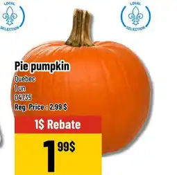 Mayrand Pie pumpkin Pie offer