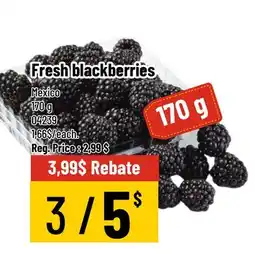 Mayrand Fresh blackberries offer
