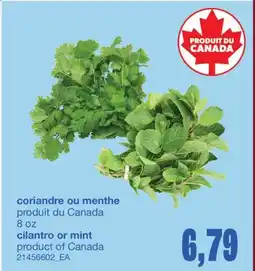 Wholesale Club CORIANDRE OU MENTHE, 8 OZ offer