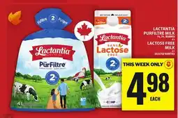 Food Basics LACTANTIA PURFILTRE MILK | LACTOSE FREE MILK offer