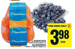 Food Basics Blueberries offer