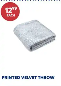 Wellwise by Shoppers PRINTED VELVET THROW offer