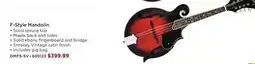Long & McQuade DENVER GUITARS F-STYLE MANDOLIN GUITAR offer